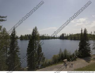 background nature forest High Tatras 0001